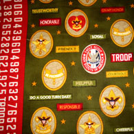 Boy Scout Fabric